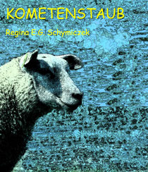 Buchcover, Titel: Kometenstaub von Regina E.G. Schymiczek